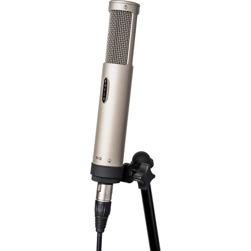 Royer Labs R-12 Active Ribbon Microphone