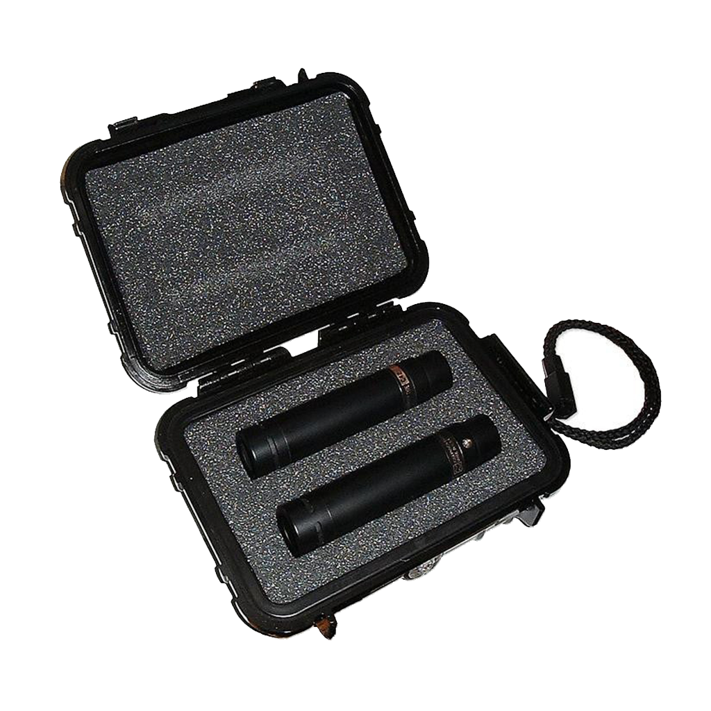 Josephson Engineering C42MP Cardioid FET Condenser Mics Matched Pair