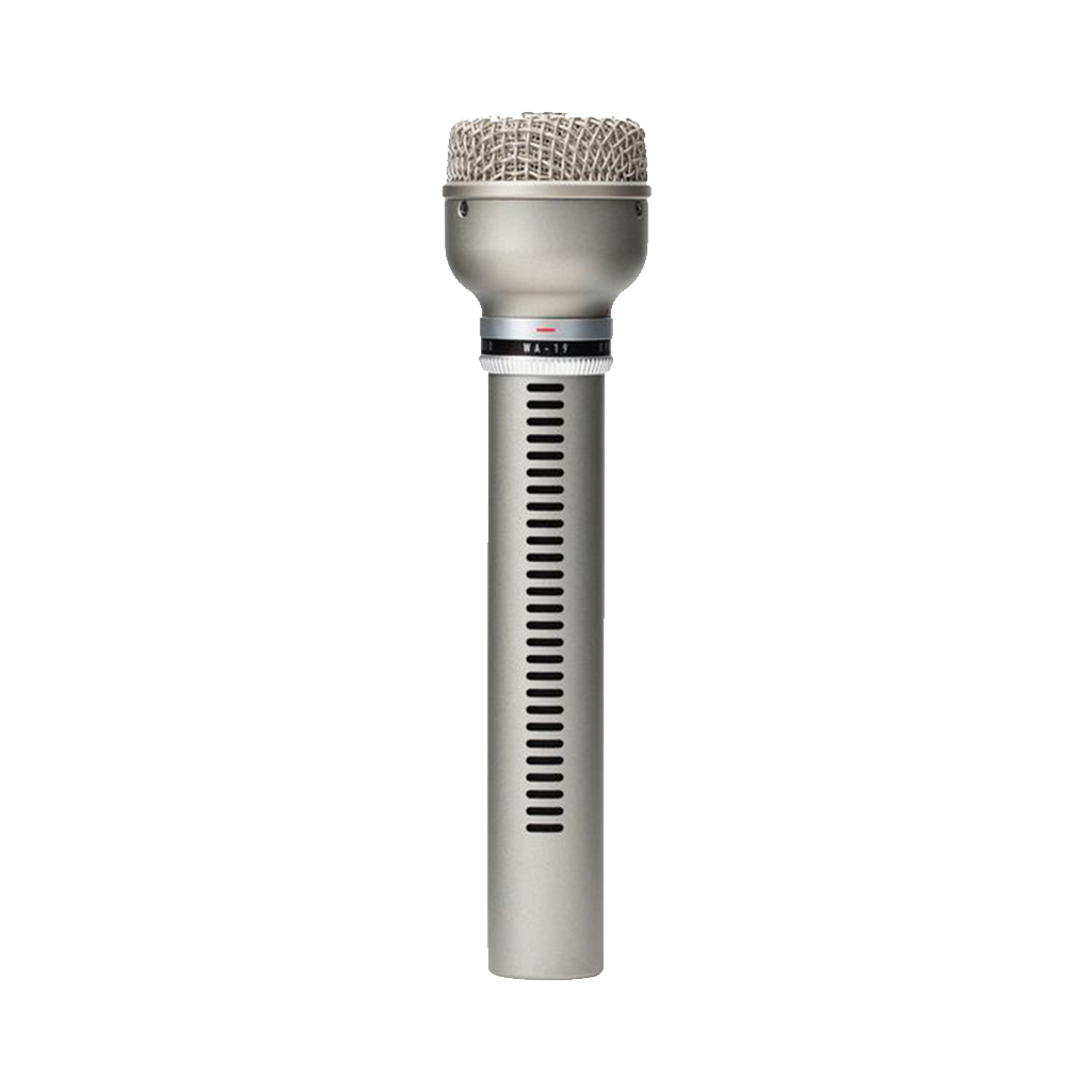 Warm Audio WA-19 Dynamic Studio Microphone