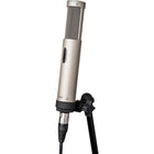 Royer Labs R-12 Active Ribbon Microphone
