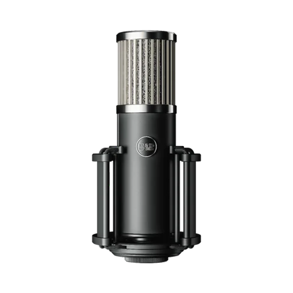 Condenser microphone on a white background
