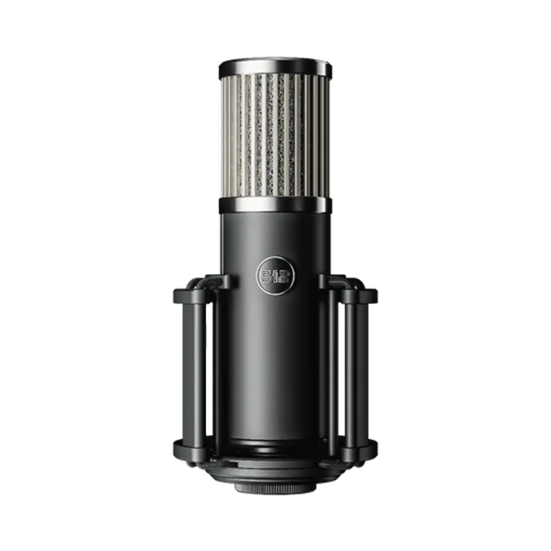 Condenser microphone on a white background