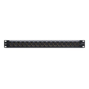 Black Lion Audio PBRXLR16FDSUB 16-point Gold-Plated Female XLR/DB25 Patchbay