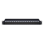 Black Lion Audio PBRXLR16FDSUB 16-point Gold-Plated Female XLR/DB25 Patchbay