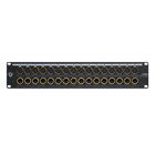 Black Lion Audio PBR XLR 32 DSub 32-Point Gold-Plated XLR/DB25 Patchbay