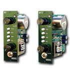 Burl B1 or B1 D 500 Series Mic Preamp & DI