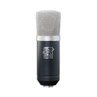 Roswell Pro Audio Cab Mic - Guitar Microphone