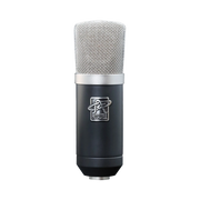 Roswell Pro Audio Cab Mic - Guitar Microphone