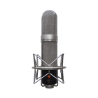 Golden Age R1 ST Stereo Ribbon Microphone