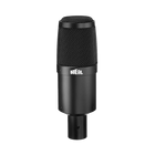 Heil PR 30 Dynamic Microphone
