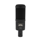 Heil Sound PR 40 Microphone