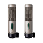 Royer Labs R-10 Studio / Live Ribbon Microphone