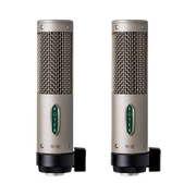 Royer Labs R-10 Studio / Live Ribbon Microphone