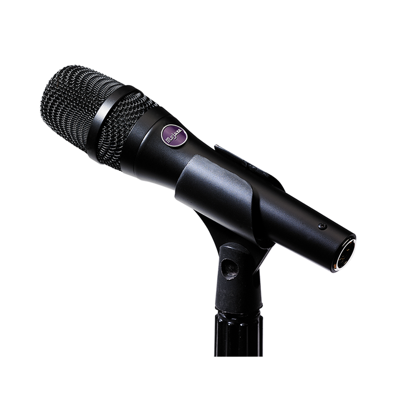 Mojave Audio MA-D Hand Held Dynamic Microphone