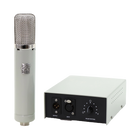 Roswell Pro Audio Aztec - Boutique Tube Microphone