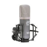 Roswell Pro Audio Mini K67x Condenser Microphone
