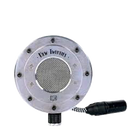 Tierra Audio New Twenties Condenser Microphone