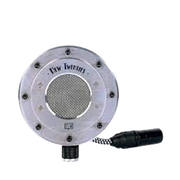 Tierra Audio New Twenties Condenser Microphone