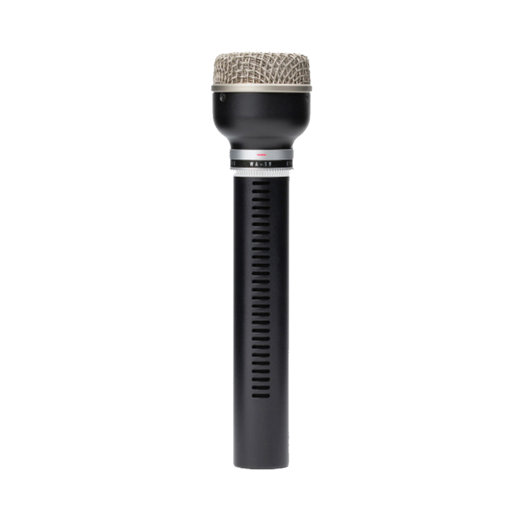 Warm Audio WA-19 Dynamic Studio Microphone