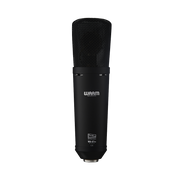 Warm Audio WA-87 r2 FET Microphone Black
