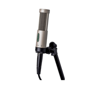Royer Labs R-10 Studio / Live Ribbon Microphone