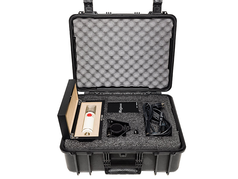 Mojave Audio MA-1000DS Vacuum Tube Multi-Pattern Condenser Microphone