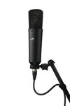 Warm Audio WA-87 r2 FET Microphone Black