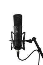 Warm Audio WA-87 r2 FET Microphone Black