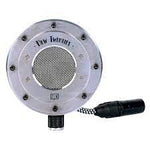 Tierra Audio New Twenties Condenser Microphone