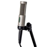 Royer Labs R-10 Ribbon Microphone Matched pair
