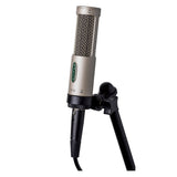 Royer Labs R-10 Studio / Live Ribbon Microphone